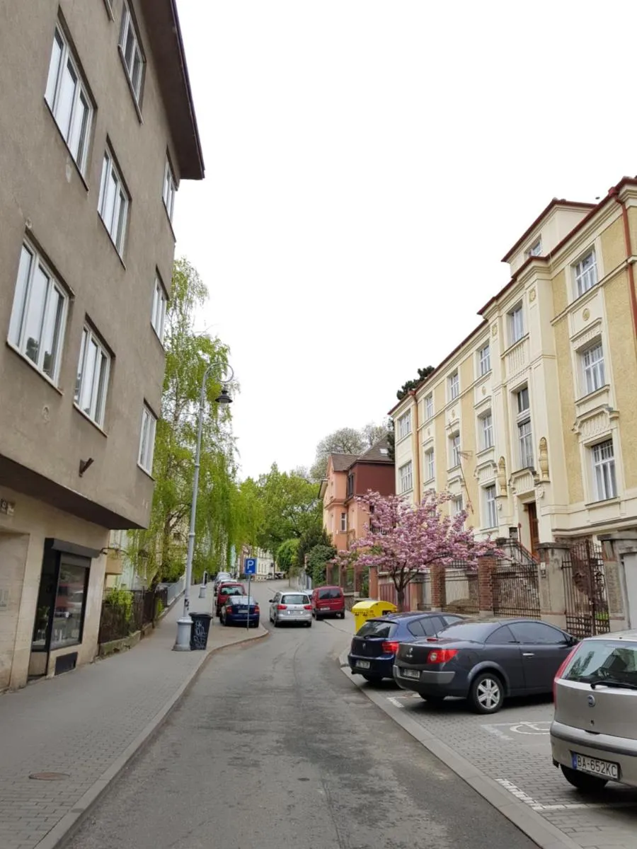 Old Town Apartment Pellicova — 6