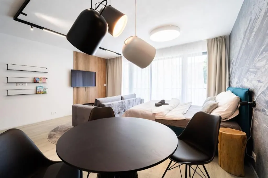 Parkside Harmony Apartment – Brno — 5