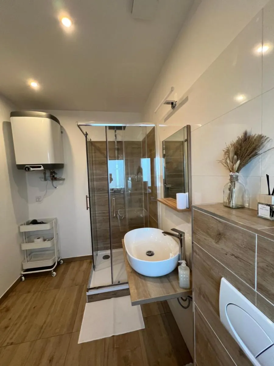 RK Apartment Holzova — 3