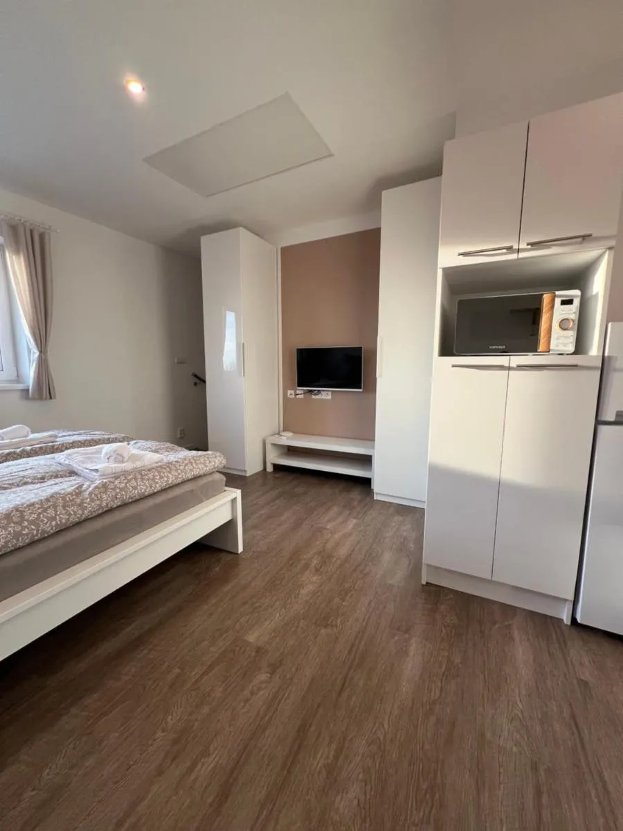 RK Apartment Holzova — 4