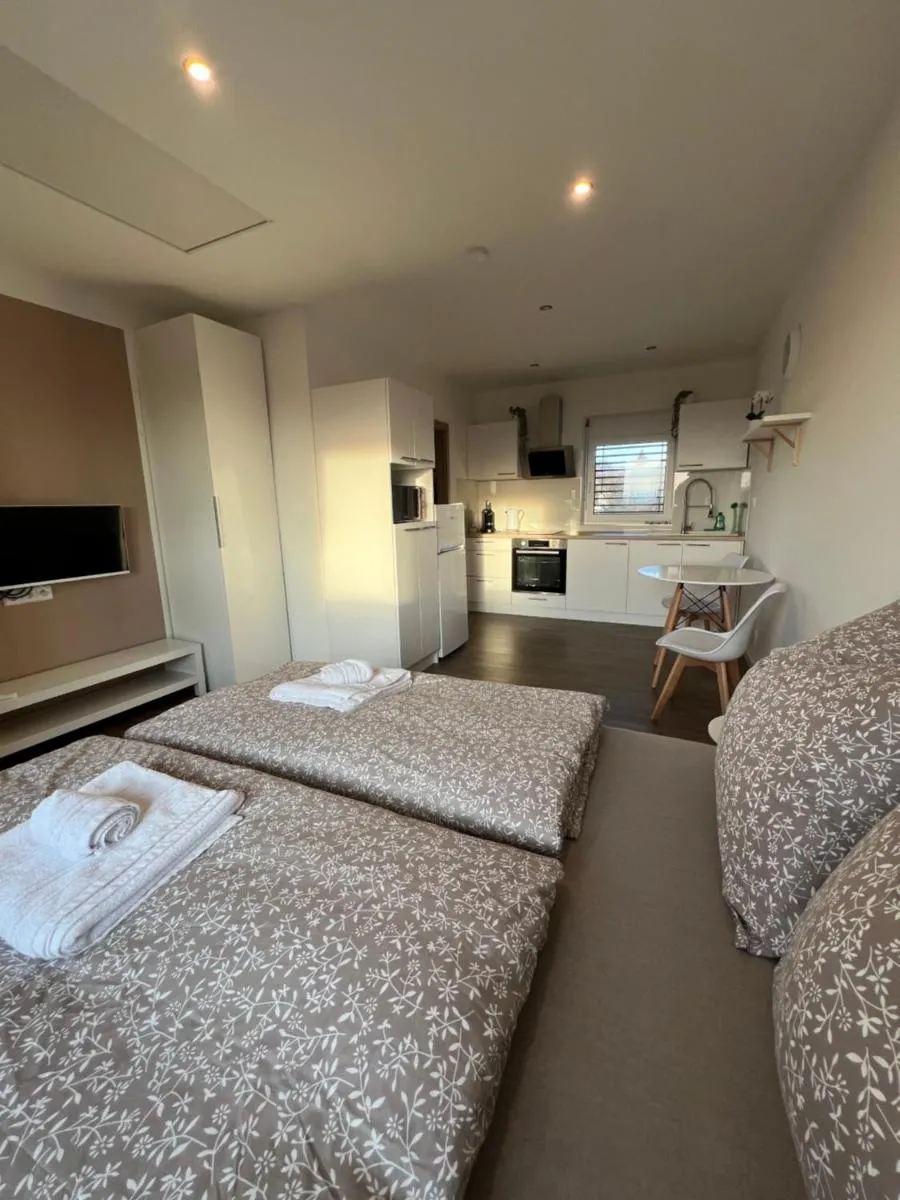 RK Apartment Holzova — 2
