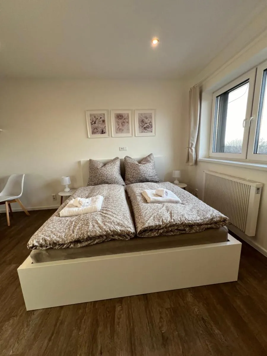 RK Apartment Holzova — 6