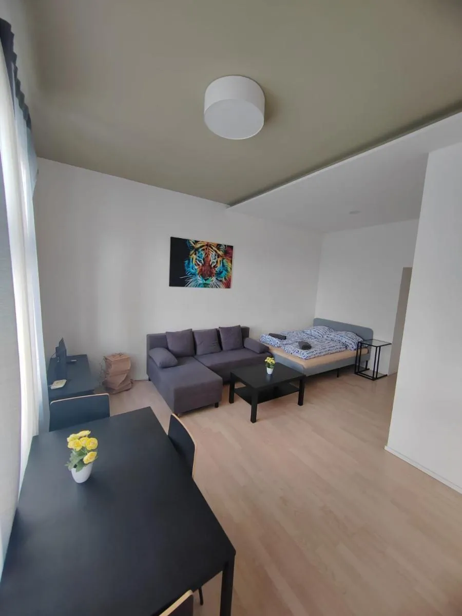 Skořepka15 apartment Brno-střed — 6