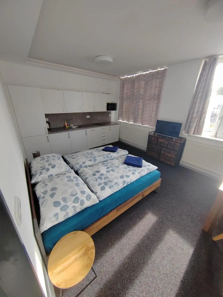 Skořepka15 apartment Brno-střed — 3