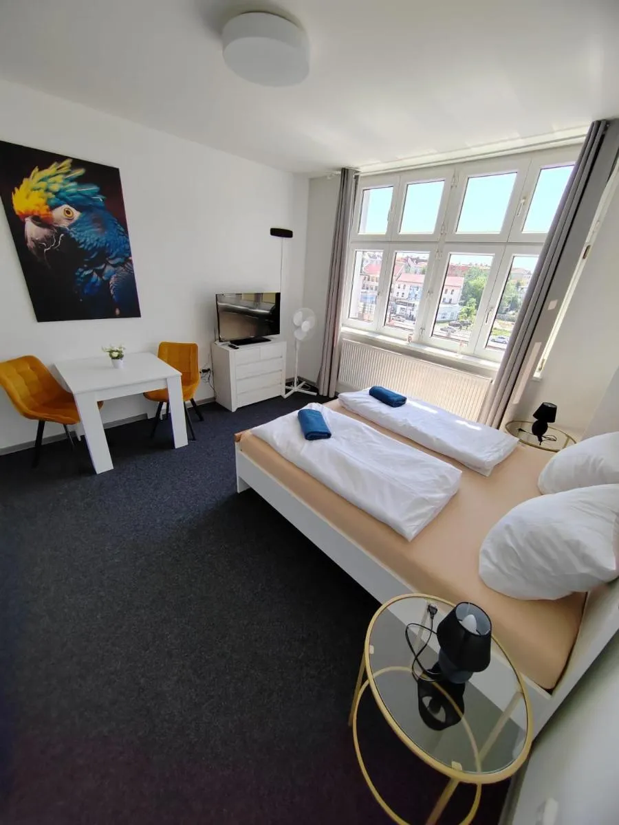 Skořepka15 apartment Brno-střed — 2