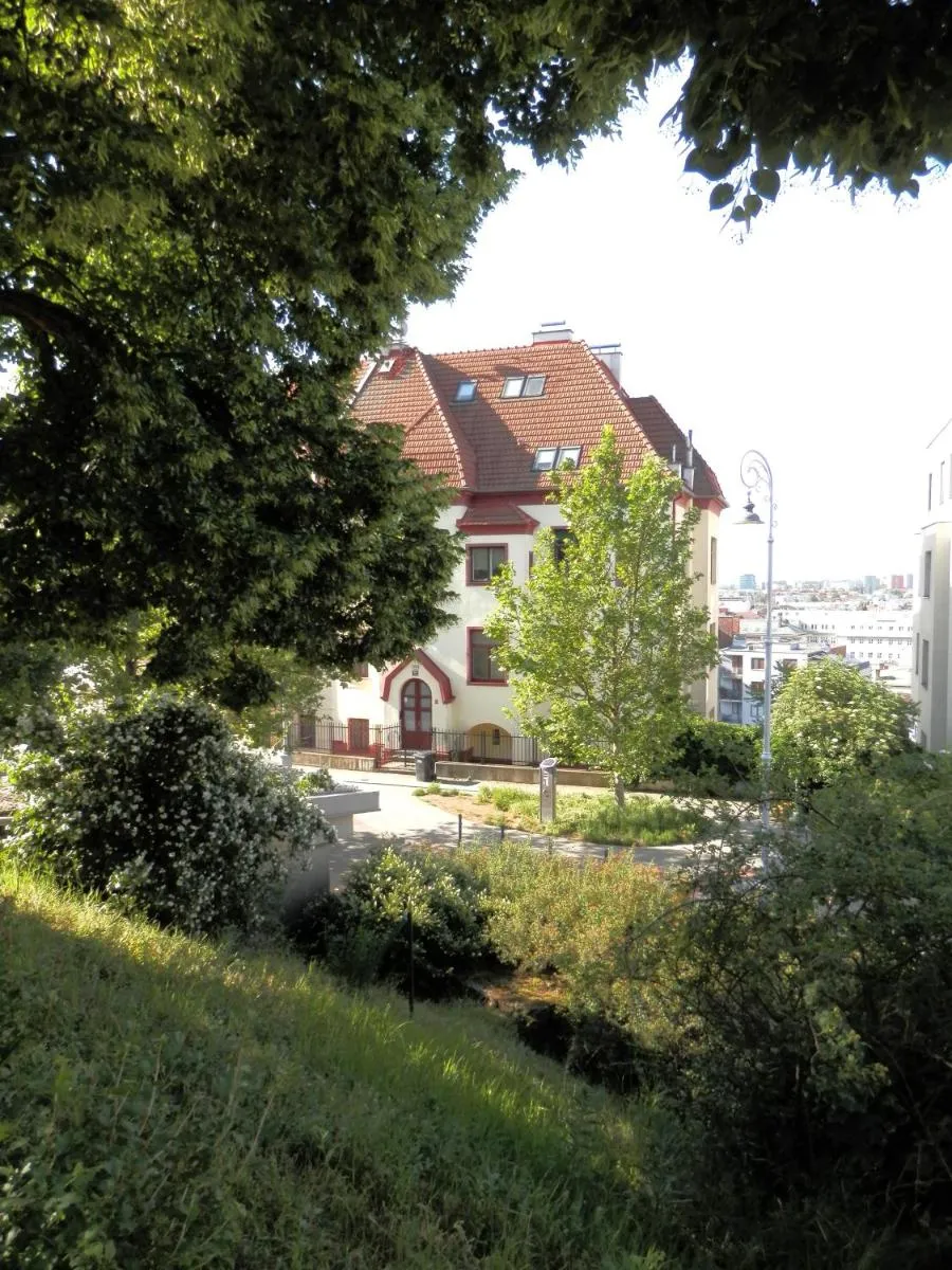 Spacious Apartment Below Spilberk Castle — 4