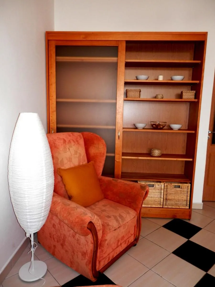 Spacious Apartment Below Spilberk Castle — 7