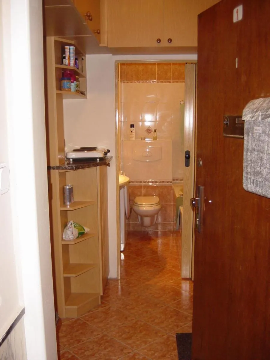 Studio apartment Monte Bu — 4