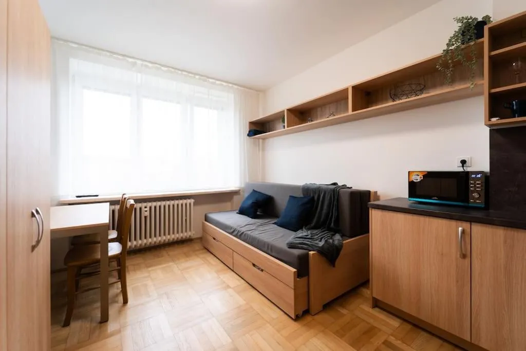Studio apartment in Brno-center — 3