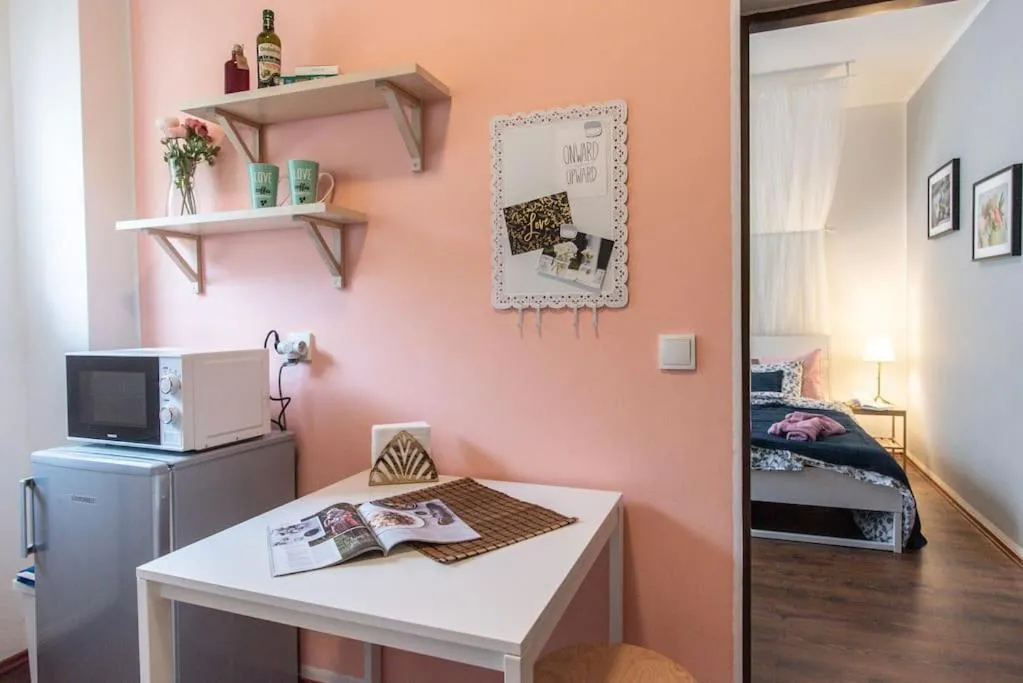 Vintage Dream Studio near the center of Brno — 5