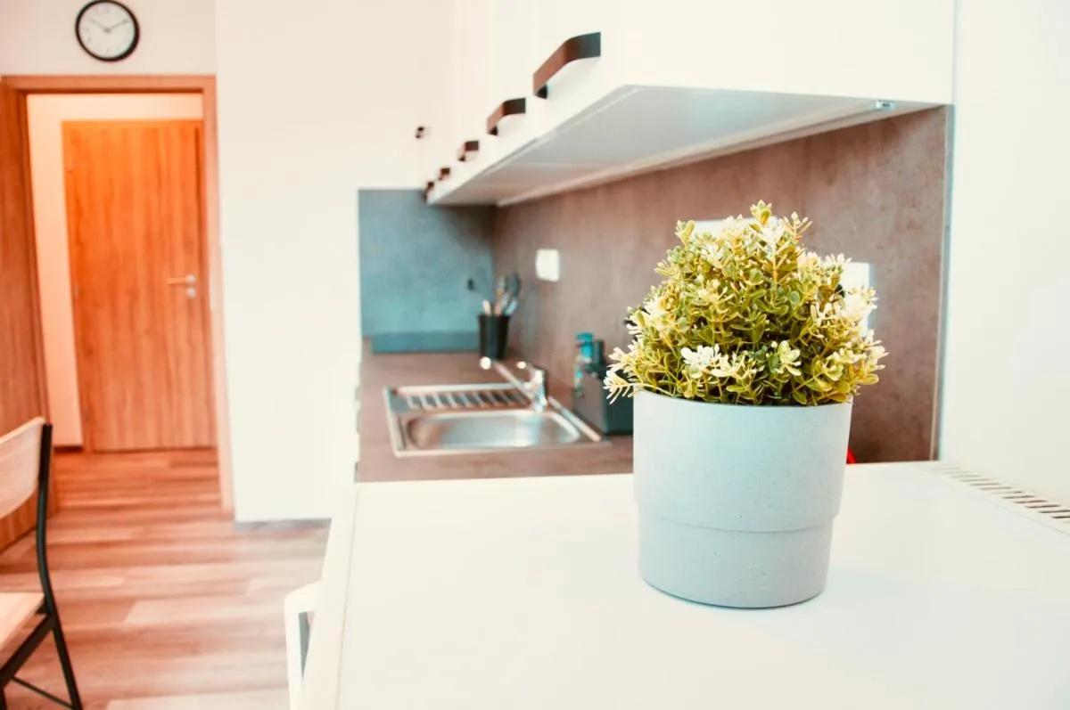 ZAROHEM 2 bedrooms APARTMENT in center with balcony — 6