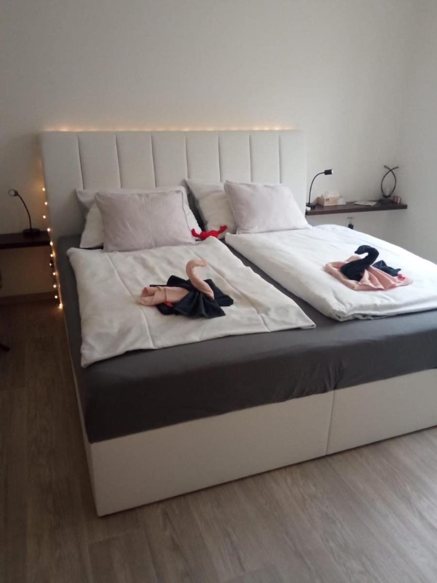 Academic Apartment Brno (AAB) 2+1 (62 m²) — 4