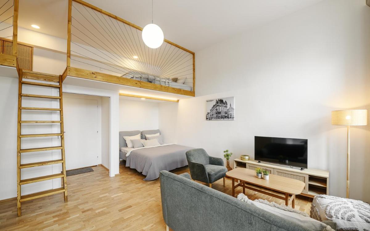 Apartmán Koliště u divadla — 5
