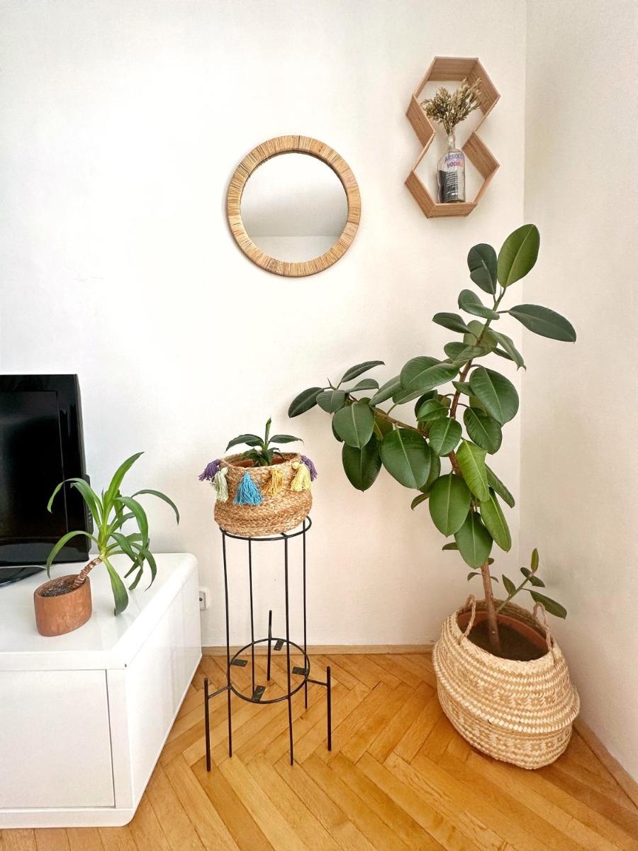 Bright and central suite with a balcony — 7