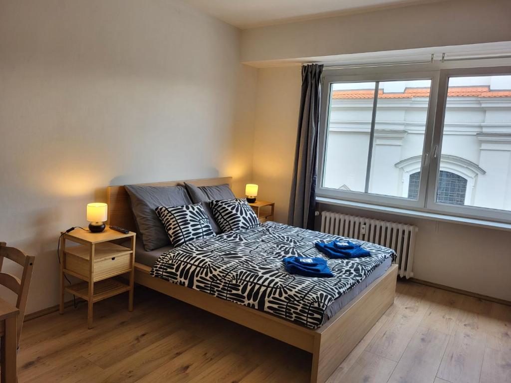 City Center Apartments – Moderna Brno Římské náměstí I