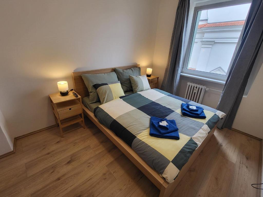 City Center Apartments – Moderna Brno Římské náměstí II