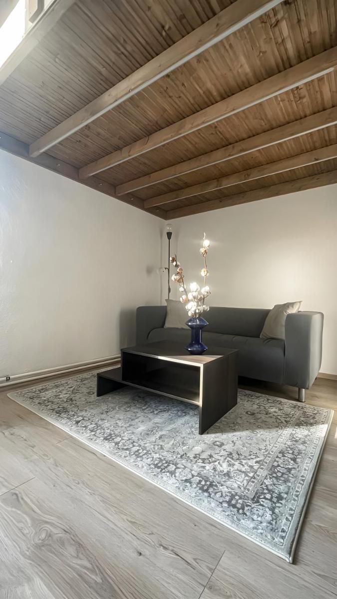 Cotton&Loft – Brno City Center Apartment — 3