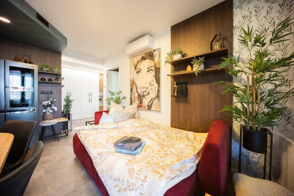 DH Family and Whirlpool Apartment 3kk – Videnska 2 — 6