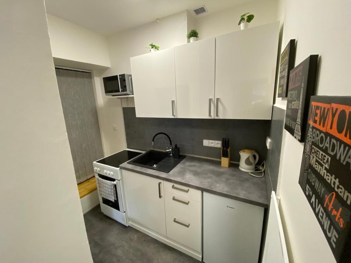 Downtown Flat under Spilberk Castle — 4
