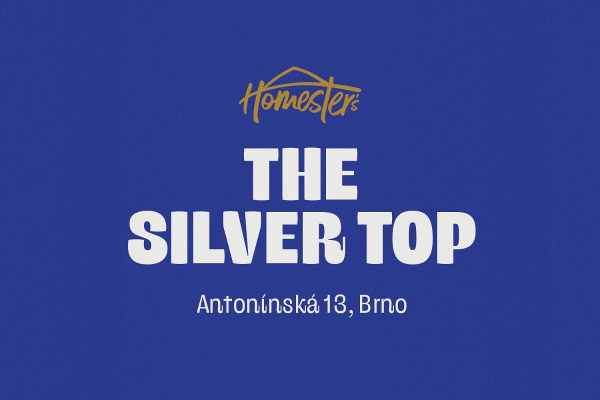 The Silver Top by Homester — 2